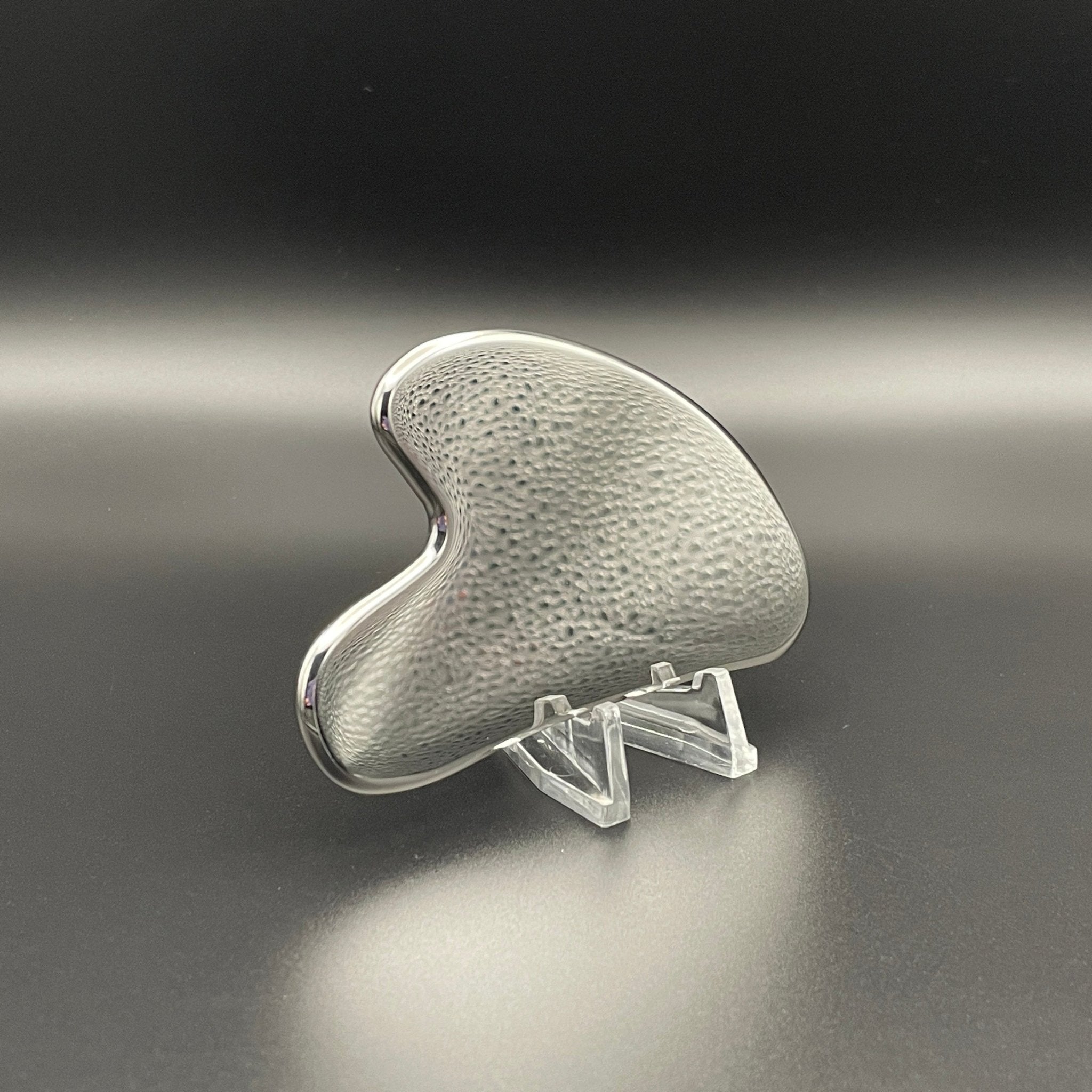 Stainless Steel Gua Sha Facial Tool - Mystic Obsessions